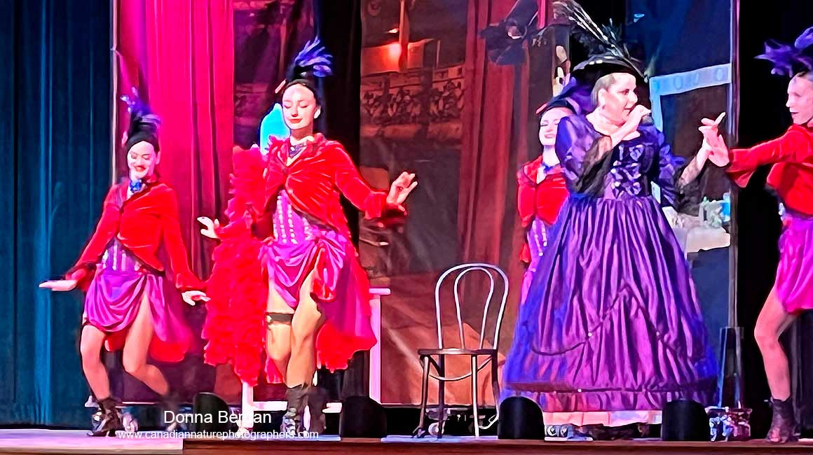 Gerdi and her saloon girls put on a show in a local Casino in Dawson city